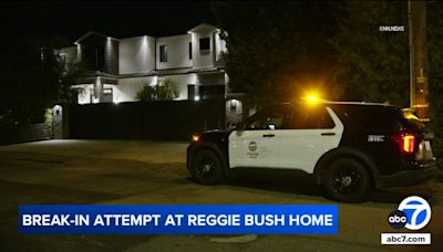 Reggie Bush scares off would-be burglars during attempted break-in at Encino home