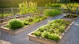 Doctor talks on health benefits of gardening