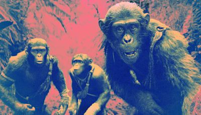 Why Do People Keep Seeing the ‘Planet of the Apes’ Movies?