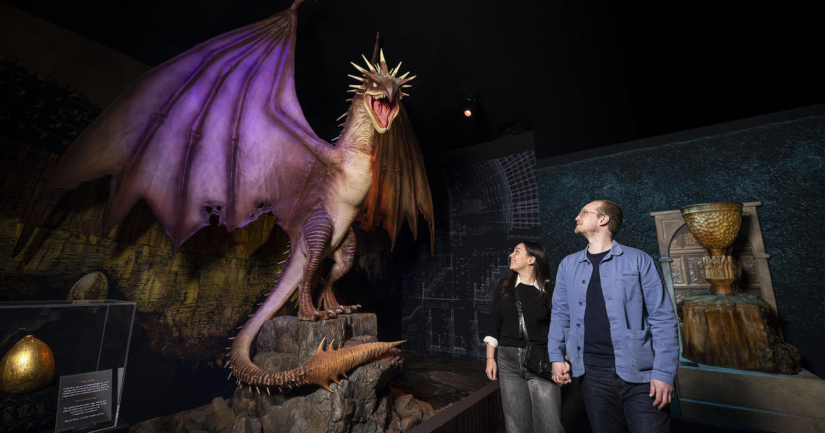 A Harry Potter exhibition is coming to the Boston area this fall