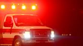 56-year-old Illinois man killed after motorcycle crashes into tree