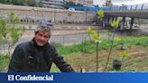 Alcachofas, tomates, ajos, habas y humo... El hombre que montó un huerto en la M-30