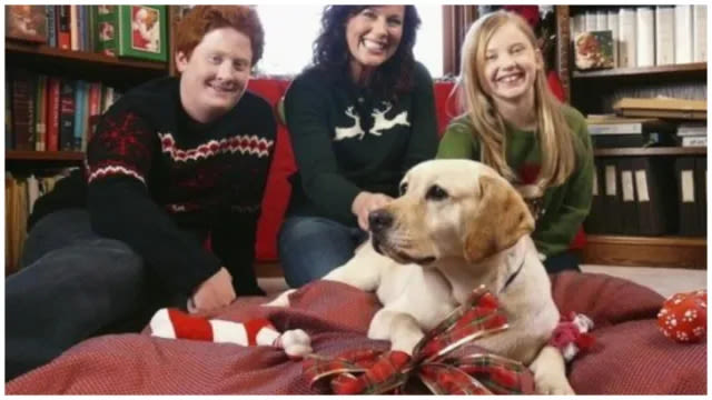 The Dog Who Saved Christmas Streaming: Watch & Stream online via Peacock