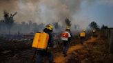 Worst Brazil forest fires in a decade, yet election silence