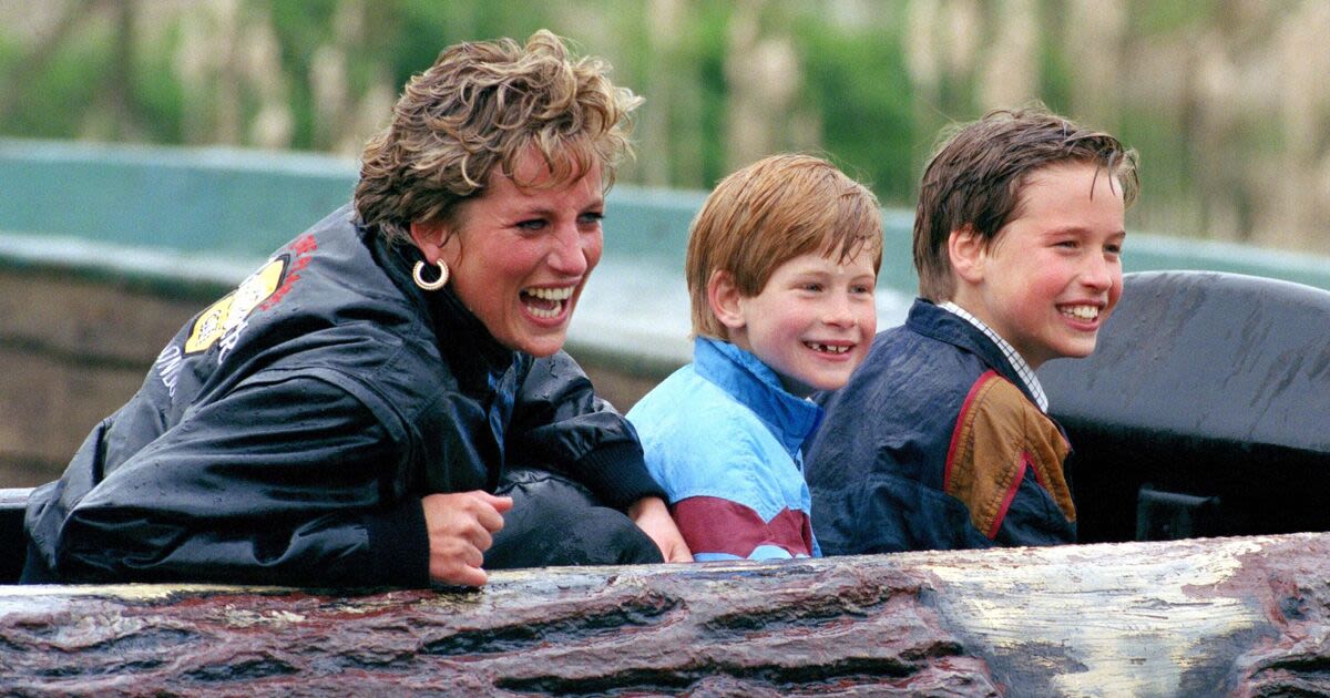 Prince Harry and Prince William would not be at war if Princess Diana was alive