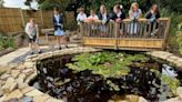Ringwood school transforms leaking pond into thriving wildlife habitat