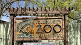 This family-friendly activity in Folsom costs less than $25. How I spent my day at the zoo