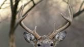 When does deer hunting season begin? Here's a look at Ohio's 2022-23 rules and dates