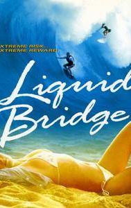 Liquid Bridge