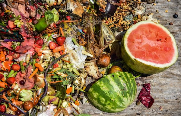 Why one state figured out how to cut food waste, while many others failed