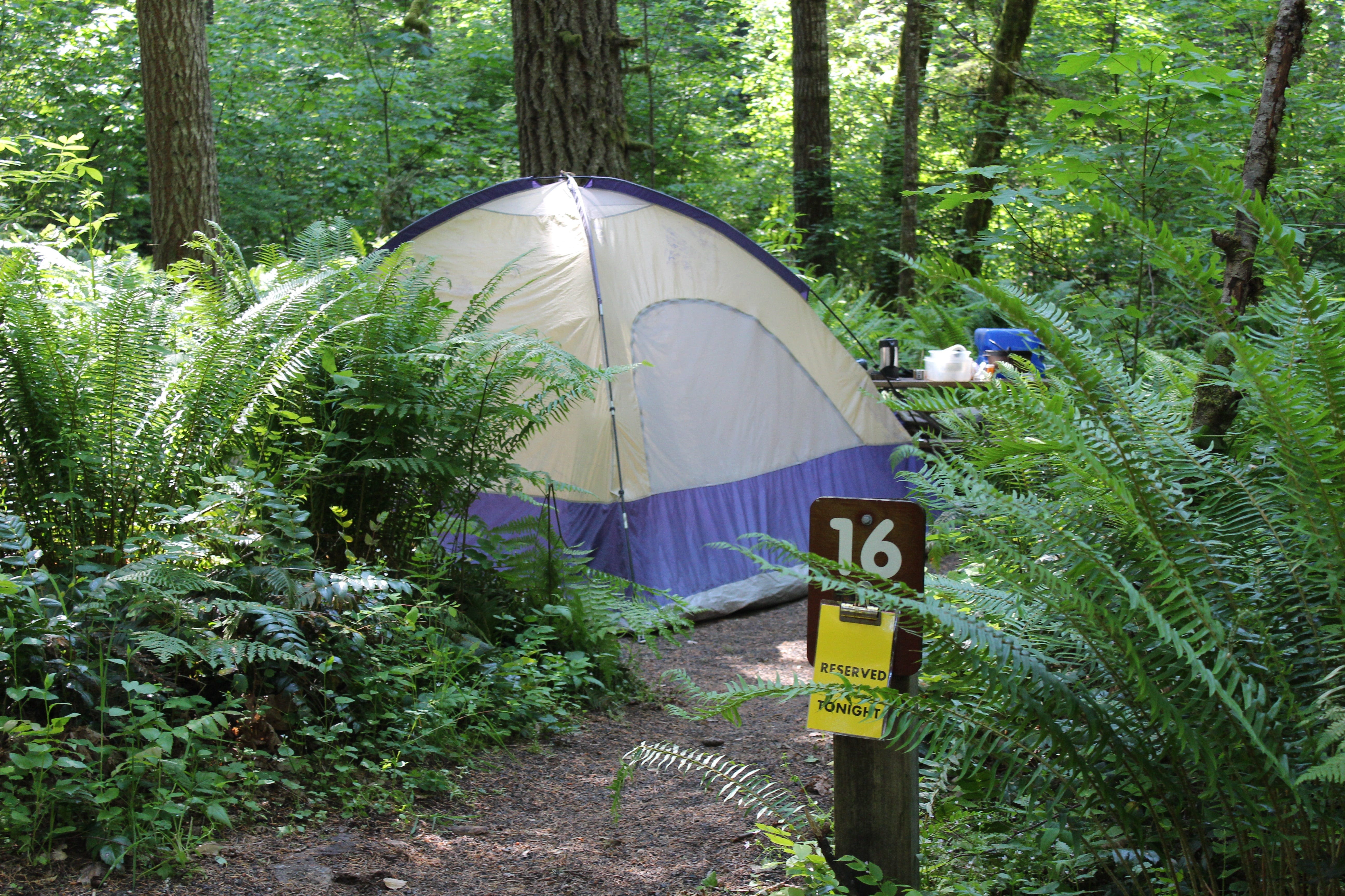 Oregon Parks and Recreation seeks public comment for camping rate range increases