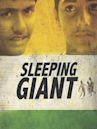 Sleeping Giant: An Indian Football Story