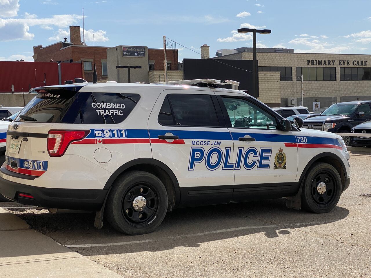 Moose Jaw police shoot and kill 'aggressive' cow on the loose