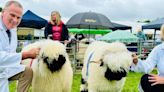 Bury Agricultural Show brings thousands of visitors to Burrs Country Park again