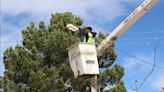 Continúan labores de mantenimiento de luminarias en la Calle Aldama