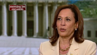 'It's insulting': VP Harris slams Trump for saying his indictments appeal to Black voters