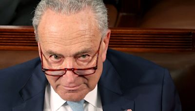 Schumer Warns of Government Shutdown Ahead of Sept. 30 Deadline