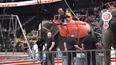 The 2024 Naja Shrine Circus opens in Rapid City