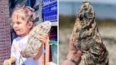 Mersea oyster company finds huge 5.5kg mammoth mollusc