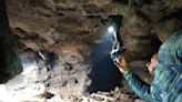 Human skeletons, remains of sharks, blood-sucking bats found in cave