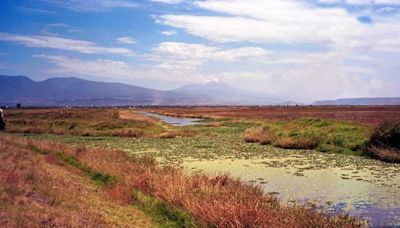 ¿Es viable la propuesta de Xóchitl Gálvez sobre quitarle la sal al agua almacenada en Texcoco? Un experto responde