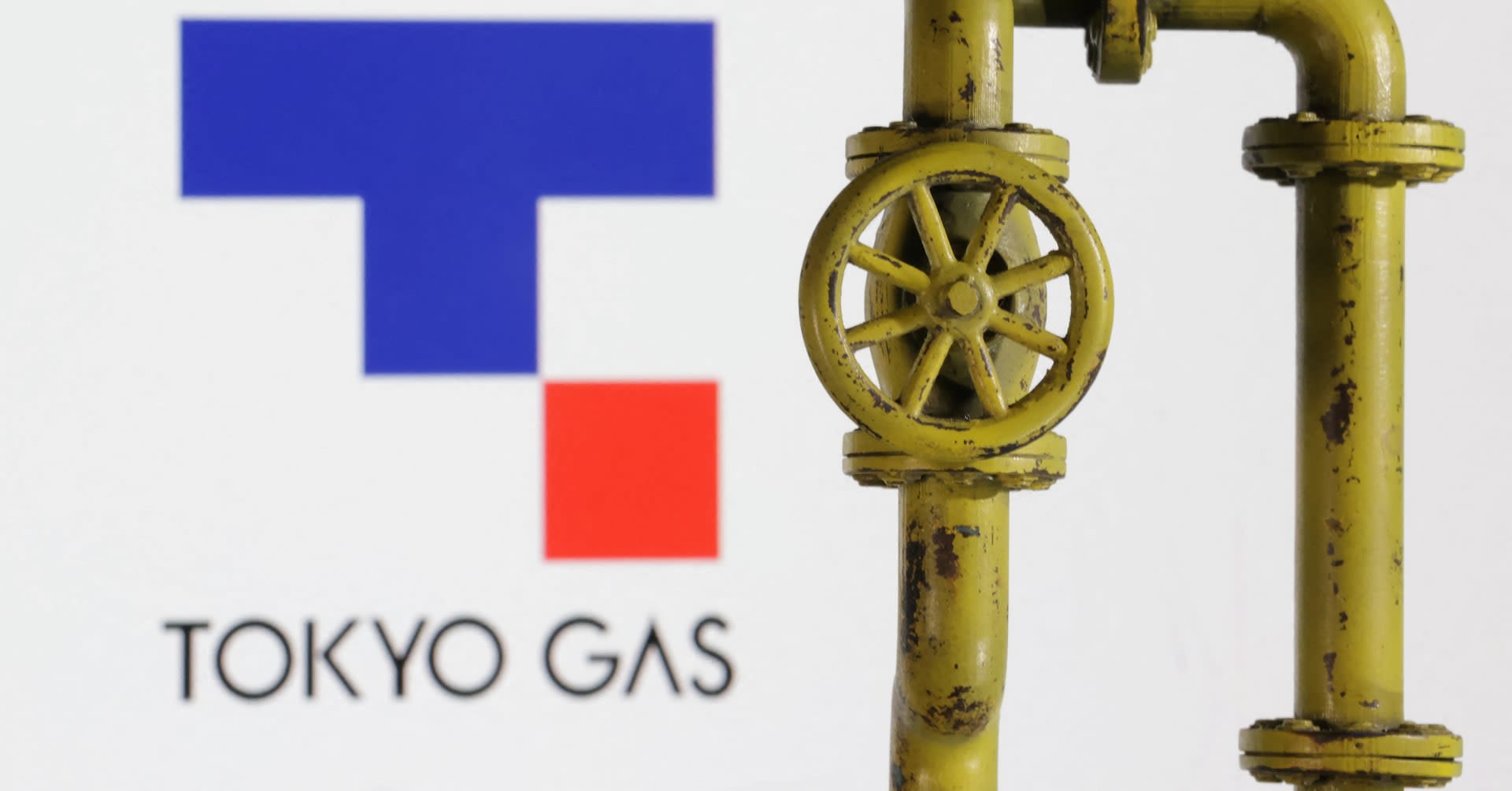 Tokyo Gas seeks more US natural gas assets, president says