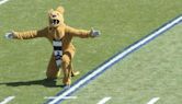 Nittany Lion