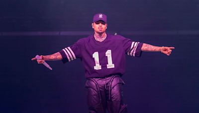 Chris Brown Loses His Cool After Getting Stuck in Air During Concert