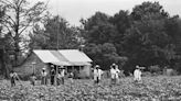 The Quest for Racial Equality Has Always Been Different for Rural Americans