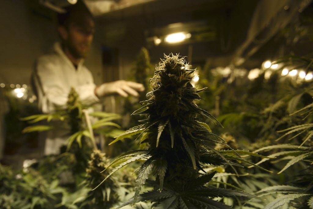 Recreational pot initiative in South Dakota beats petition deadline