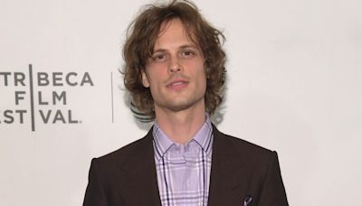 'Criminal Minds' Star Matthew Gray Gubler to Play Titular 'Einstein' in CBS Procedural