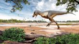 Buscan dar con nueva información sobre los T-Rex - Diario Hoy En la noticia