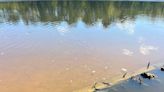 Texas drought exposes resting place of five sunken World War I ships in Neches River