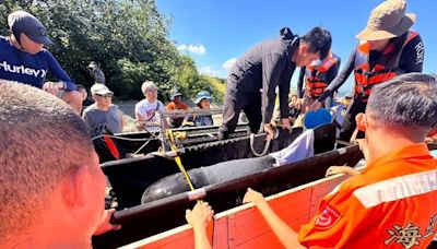 秋茂園海豚徘徊擱淺 臺南海巡協同鯨豚研究中心搶救 | 蕃新聞