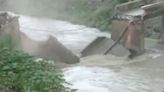 Another bridge collapses in Bihar, 10th such incident in over 15 days