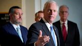 Emboldened Democrats eye Ron Johnson amid new controversies