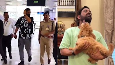 Viral Videos: MS Dhoni Lands In Ranchi From US, Heads Straight Home To Spend Time With Family And Dogs