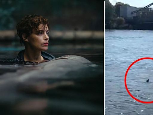 Terrifying Netflix film 'comes to life' after 'shark' spotted in River Thames