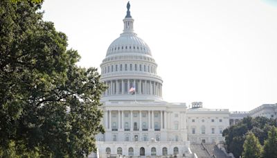 Image of Capitol fence isn't new. High-flying flag gives it away | Fact check