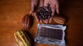 Sweet Profits, Bitter Reality: Who gains the most from the cocoa price surge? - ET Retail
