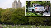 Central Park visitors no longer feel safe as crime dramatically soars — but police say they’ve stepped up patrols