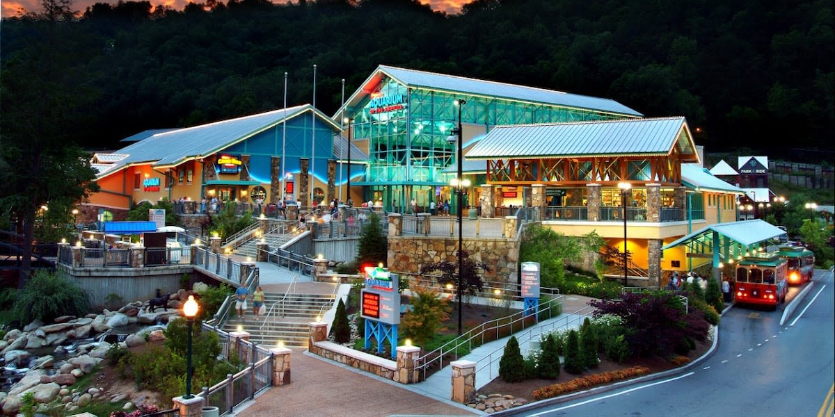 ‘SpongeBob SquarePants’ comes alive at Ripley’s Aquarium of the Smokies