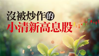 先探／沒被炒作的小清新高息股