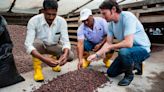 Paccari, chocolate fabricado con cacao sostenible y valor agregado