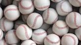 Lakeland's Donald Zanders hopes to create youth baseball program
