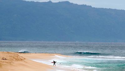 Hawaii lifeguard dies in shark attack while surfing off Oahu