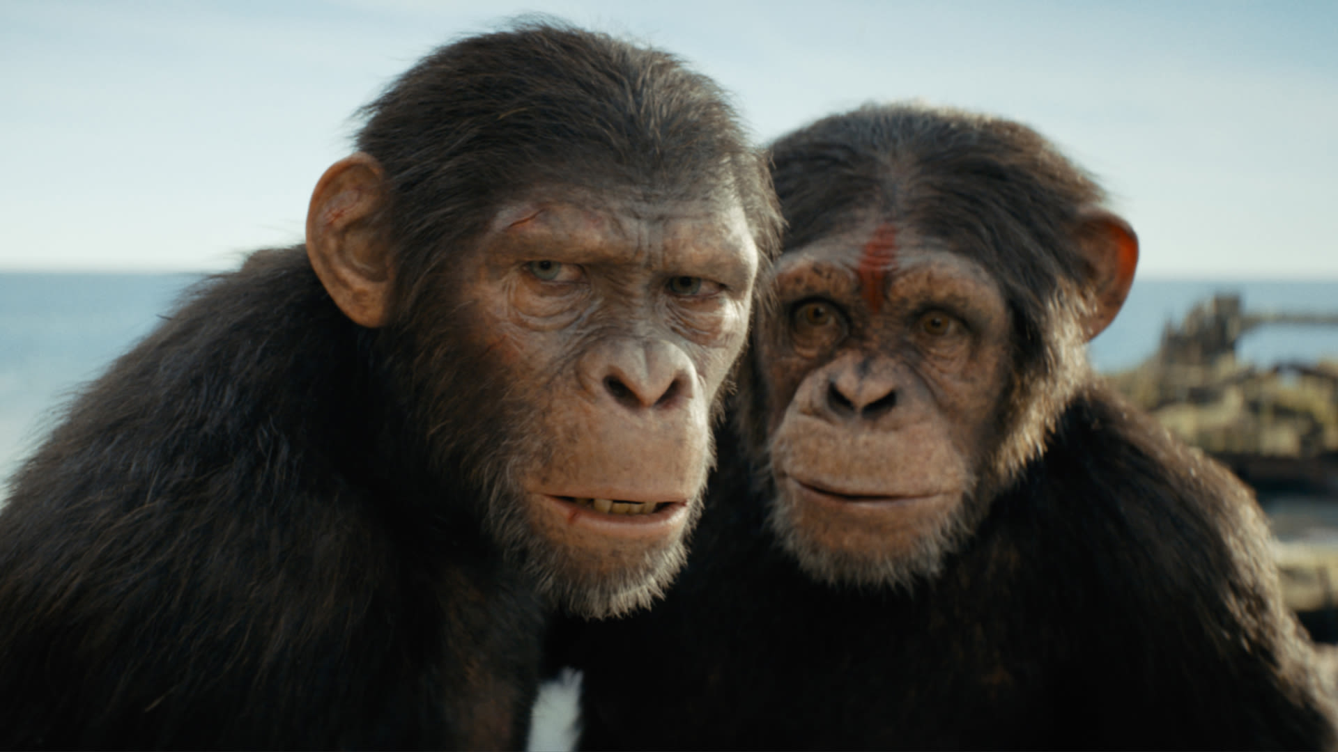 Kingdom of the Planet of the Apes first reactions are calling the movie "A New Hope for the Apes franchise"