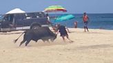 Video shows bull attacking woman on beach near Cabo San Lucas