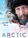 Arctic (film)