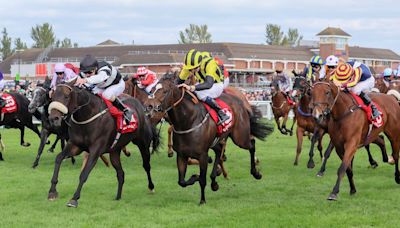 'It's the perfect race for her' - can Alfa Kellenic maintain her unbeaten record in handicaps in Ayr Gold Cup trial?